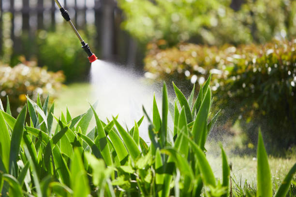 Tamper-Resistant Bait Stations for Rodents in Mulino