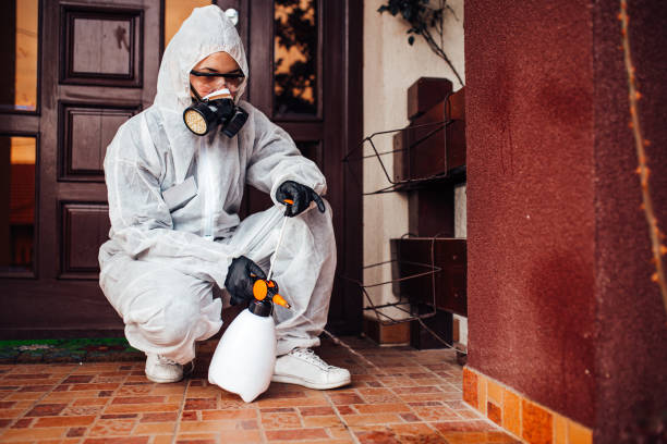 Attic and Crawl Space Rodent Treatment in Mulino