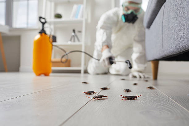 Commercial Rodent Management in Mulino